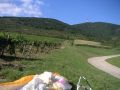 Tokaj 11.jpg